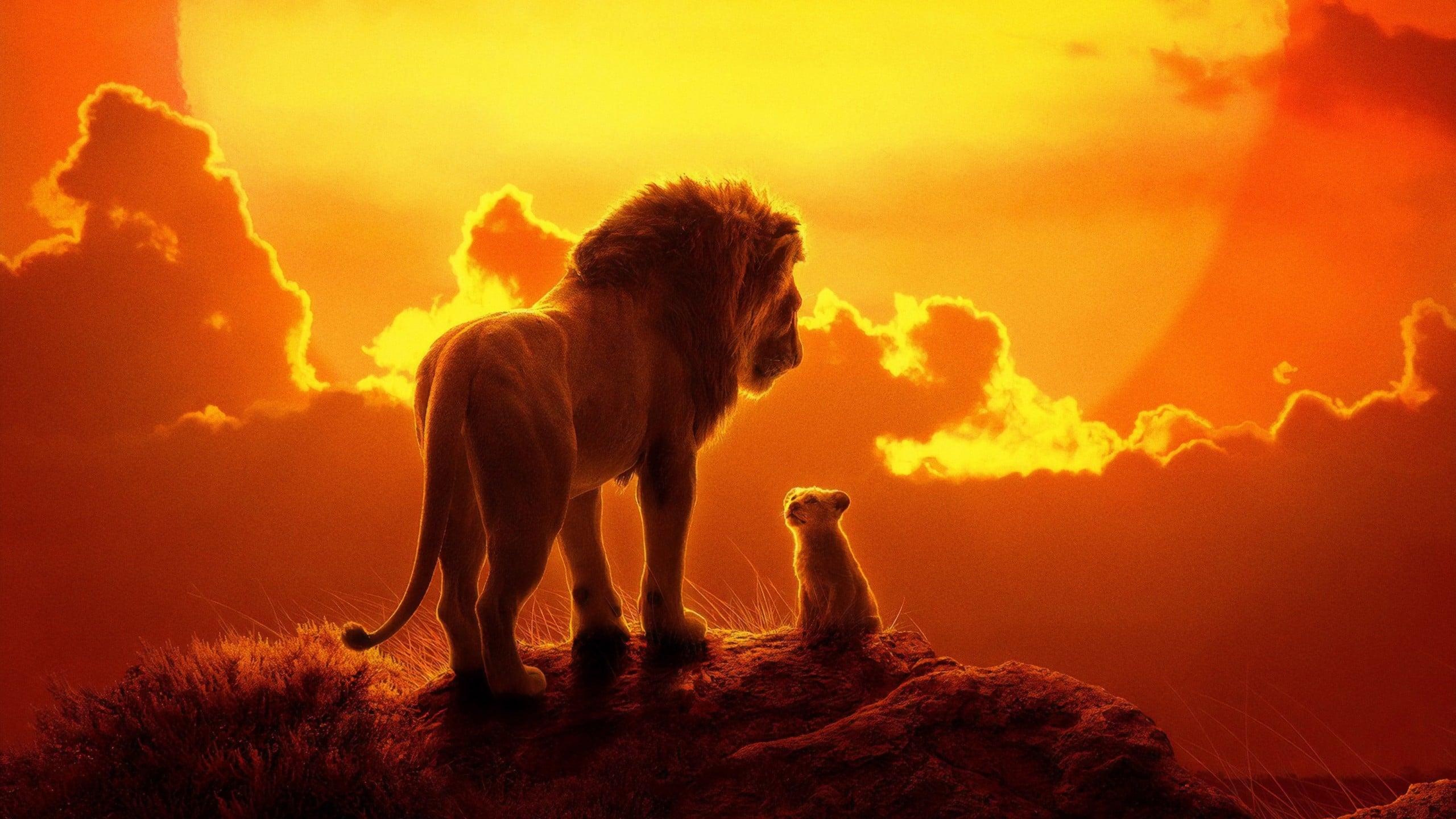 The Lion King รีวิวหนัง